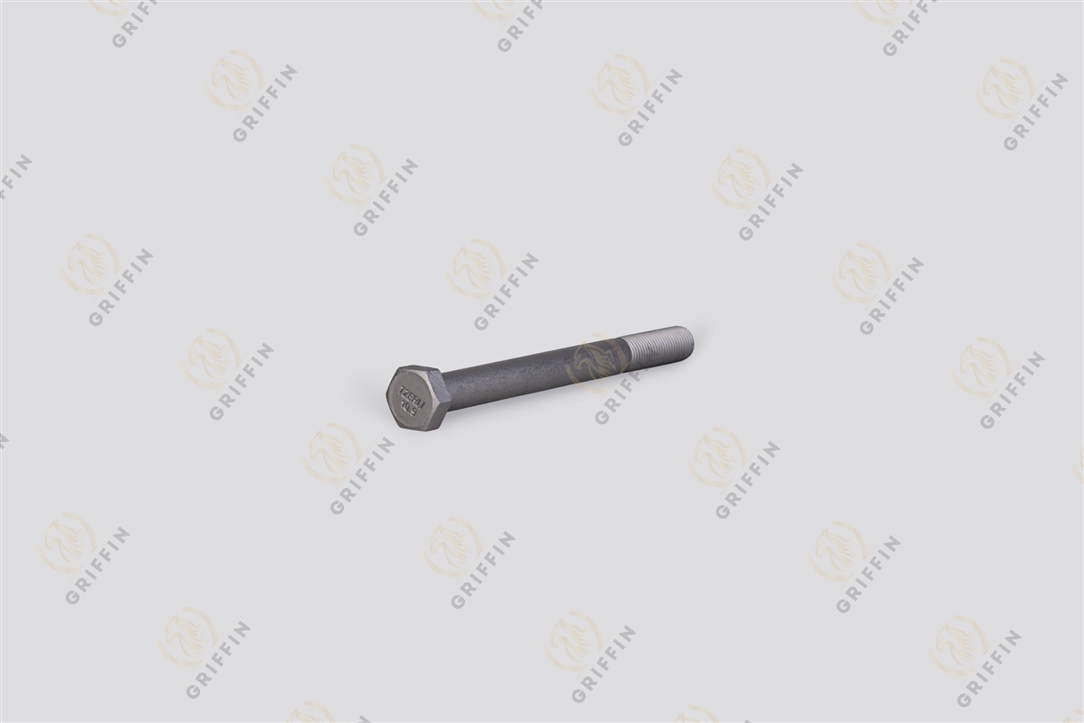 TZ1131678 Болт M22*2.5*220