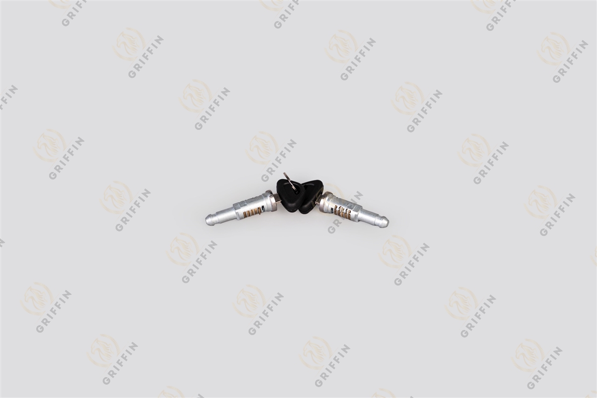 Комплект сердцевин замков (личинки с ключами)