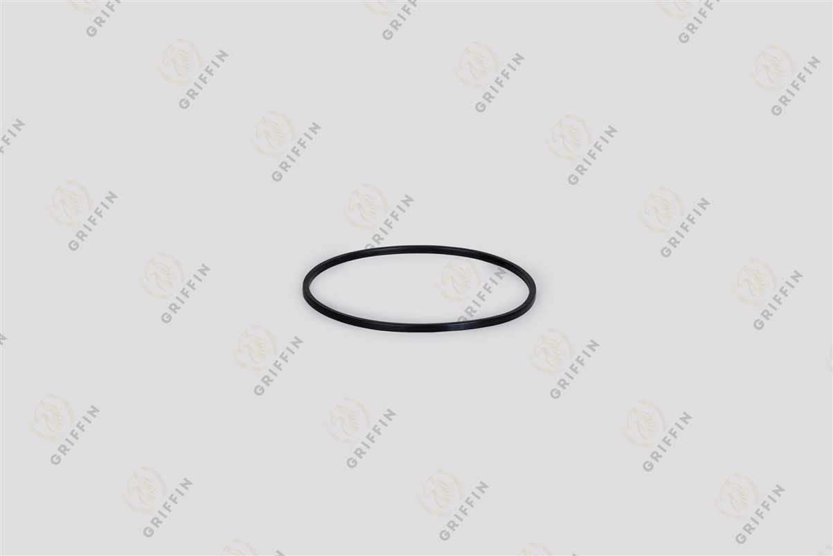 596.672 Кольцо ступицы уплотнительное 162*172*5/6