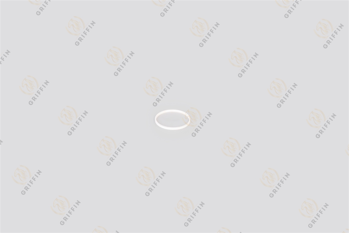 Поршневое кольцо ретардера