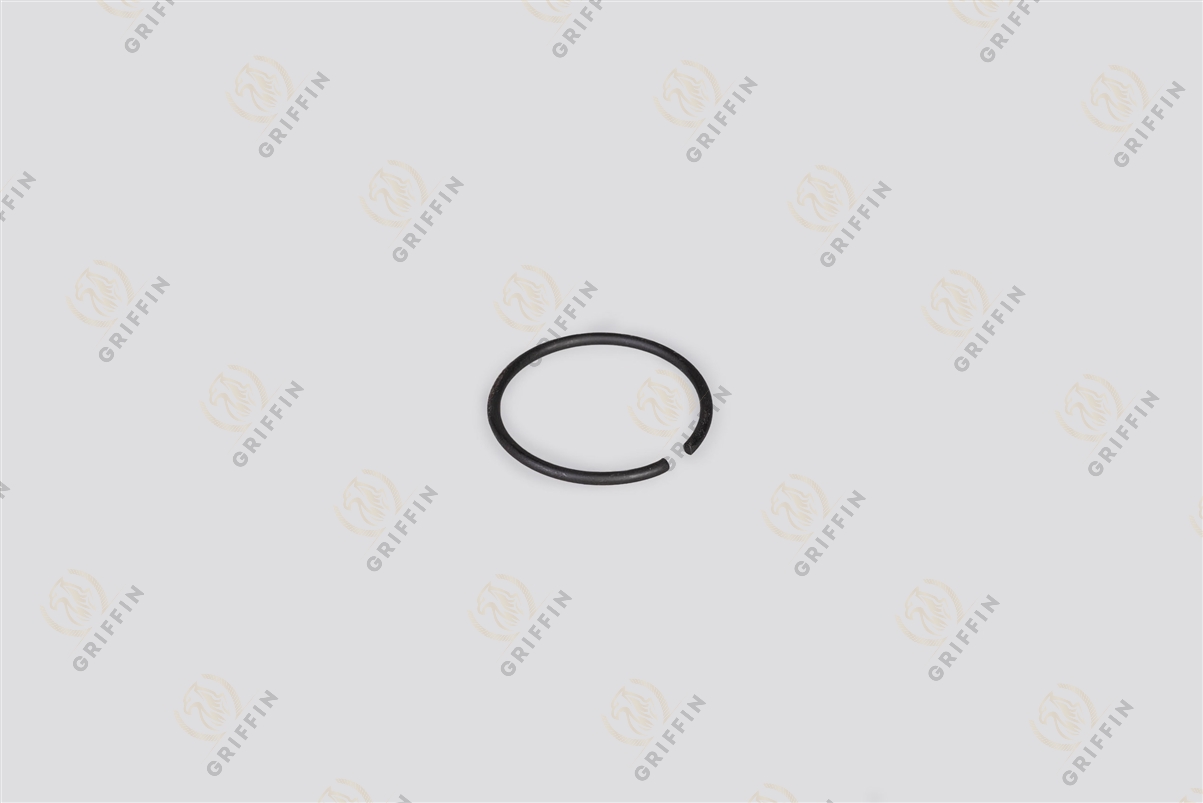 TZ1131700 Кольцо пружинное