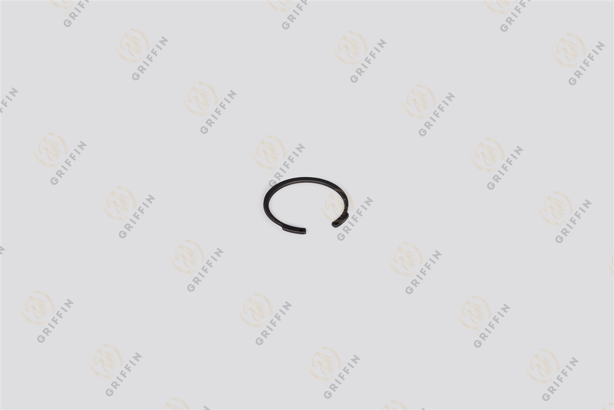 TZ1131698 Стопорное кольцо 