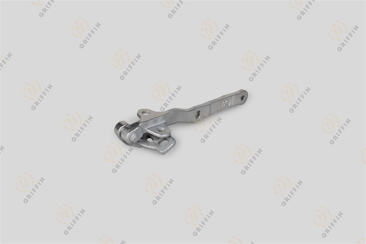 GK129986 Петля капота правая V FM 4V